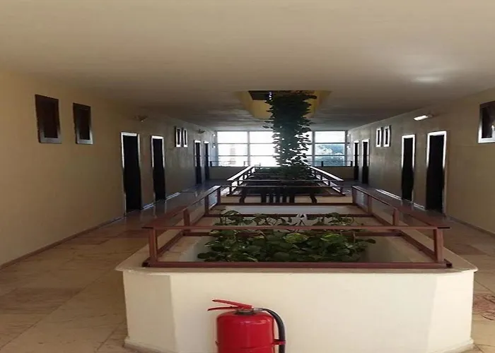 Murat Otel